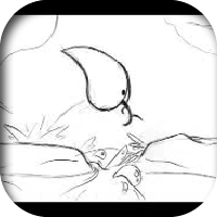 Animation